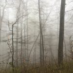IMG_6323